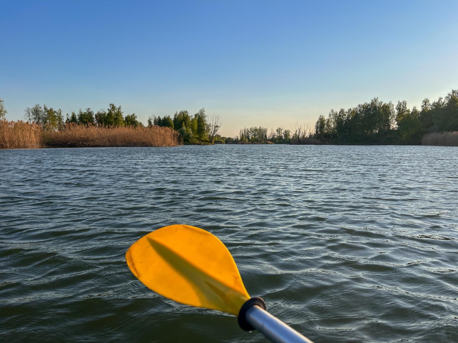 Zdjęcie w galerii na portalu naszraciborz.pl: Trwa monitoring przyrodniczy na zbiorniku Racibórz Dolny po wrześniowej powodzi wiadomości z regionu