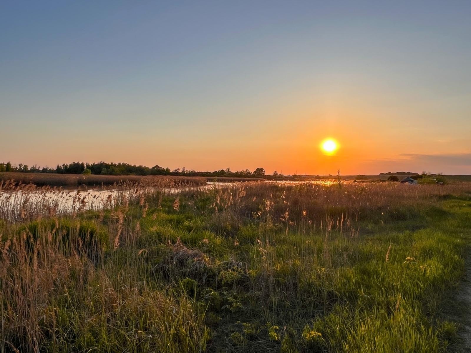 Zdjęcie w galerii na portalu naszraciborz.pl: Trwa monitoring przyrodniczy na zbiorniku Racibórz Dolny po wrześniowej powodzi wiadomości z regionu
