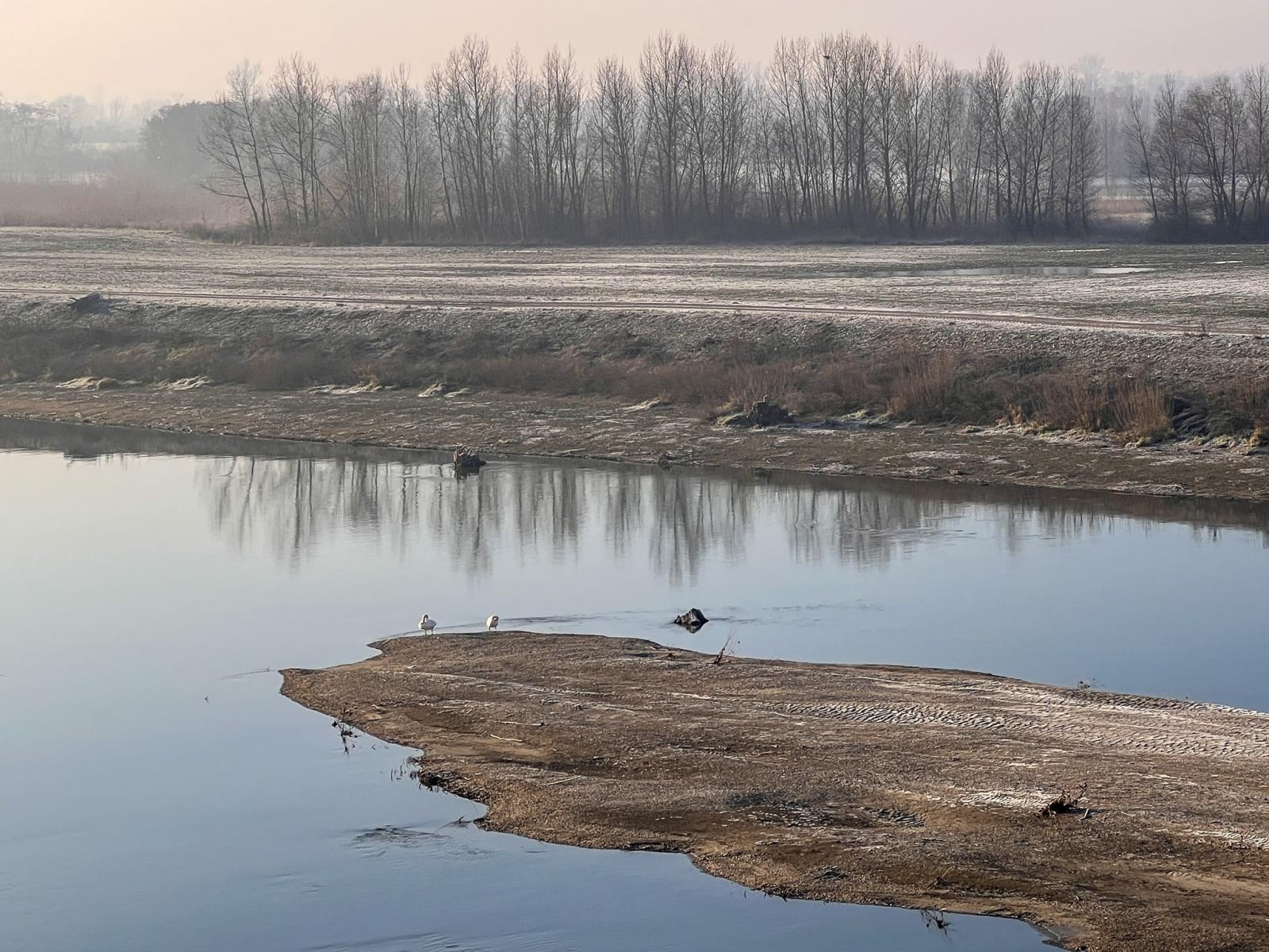 Zdjęcie w galerii na portalu naszraciborz.pl: Trwa monitoring przyrodniczy na zbiorniku Racibórz Dolny po wrześniowej powodzi wiadomości z regionu