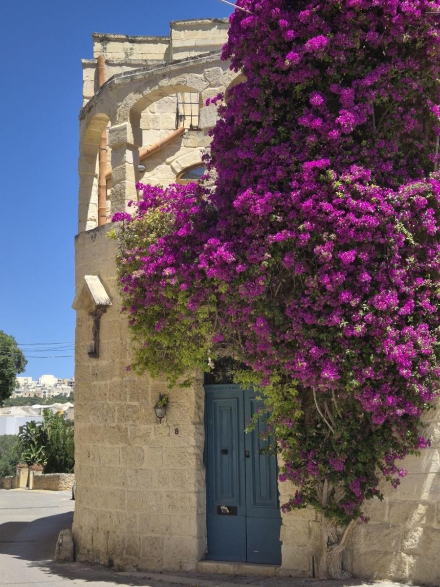 Zdjęcie w galerii na portalu naszraciborz.pl: Słońce, praca i przygoda: tak młodzież CKZiU nr 1 zdobywała Maltę! wiadomości z regionu