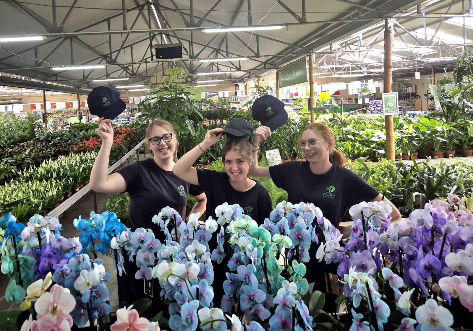 Zdjęcie w galerii na portalu naszraciborz.pl: Słońce, praca i przygoda: tak młodzież CKZiU nr 1 zdobywała Maltę! wiadomości z regionu