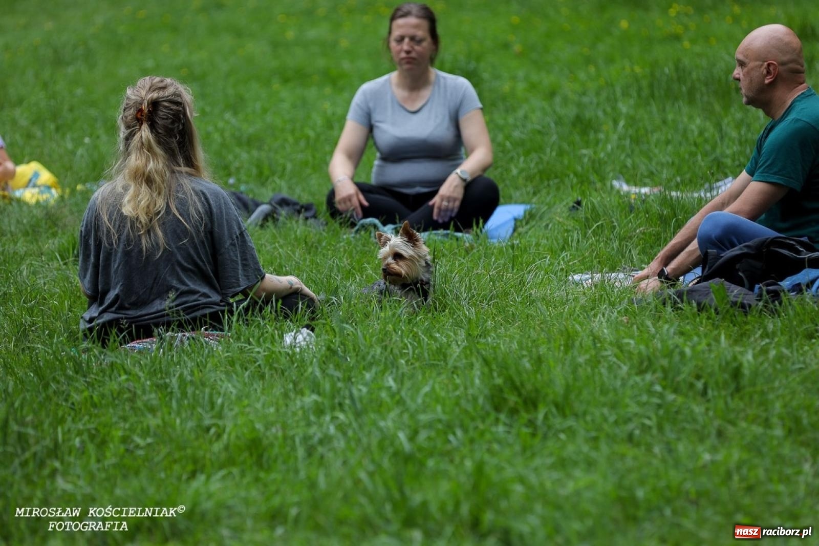 Zdjęcie w galerii na portalu naszraciborz.pl: Żywy Racibórz – międzypokoleniowa przestrzeń spotkań i inspiracji wiadomości z regionu