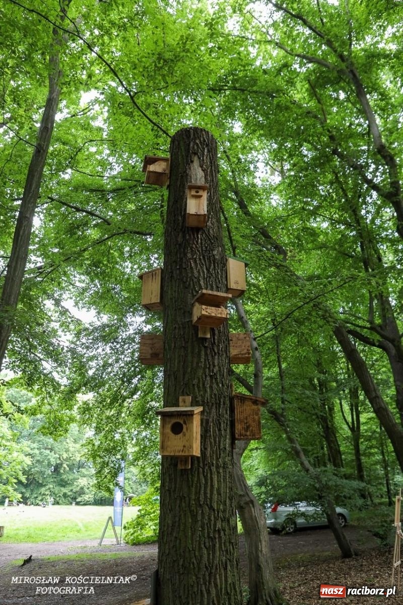 Zdjęcie w galerii na portalu naszraciborz.pl: Żywy Racibórz – międzypokoleniowa przestrzeń spotkań i inspiracji wiadomości z regionu