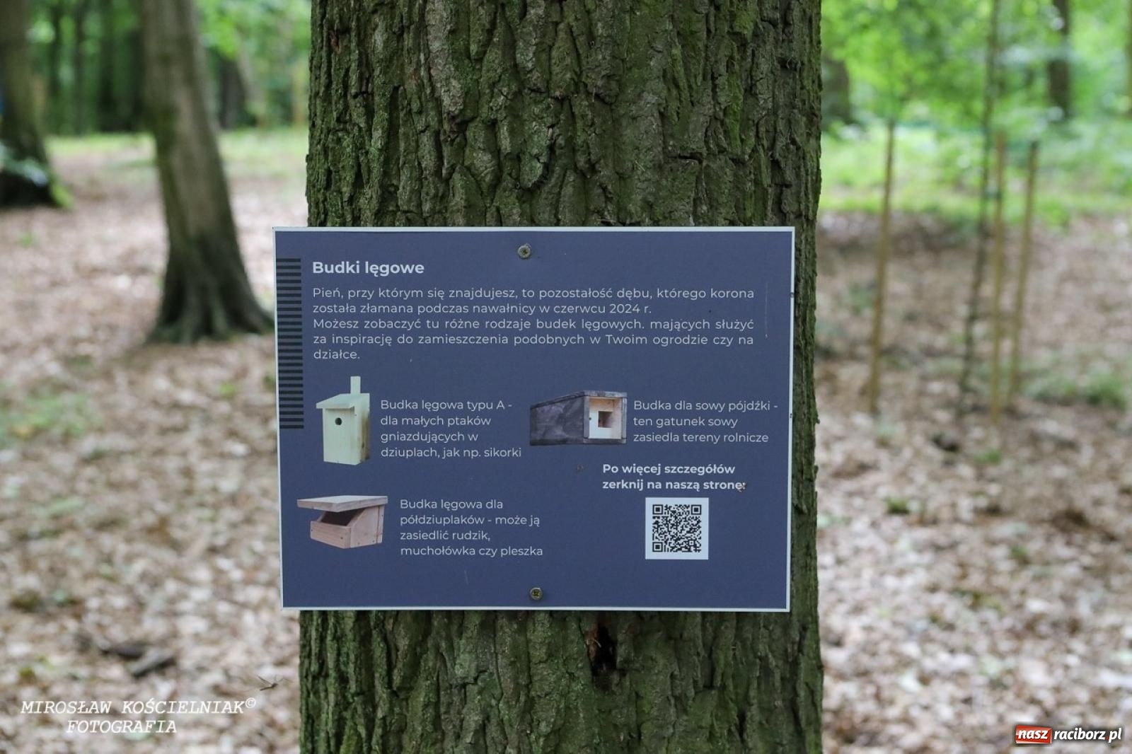 Zdjęcie w galerii na portalu naszraciborz.pl: Żywy Racibórz – międzypokoleniowa przestrzeń spotkań i inspiracji wiadomości z regionu