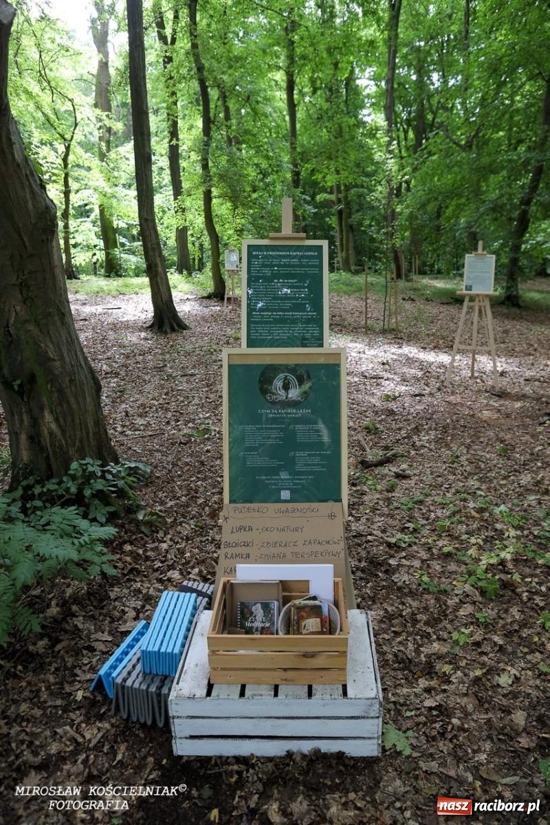 Zdjęcie w galerii na portalu naszraciborz.pl: Żywy Racibórz – międzypokoleniowa przestrzeń spotkań i inspiracji wiadomości z regionu