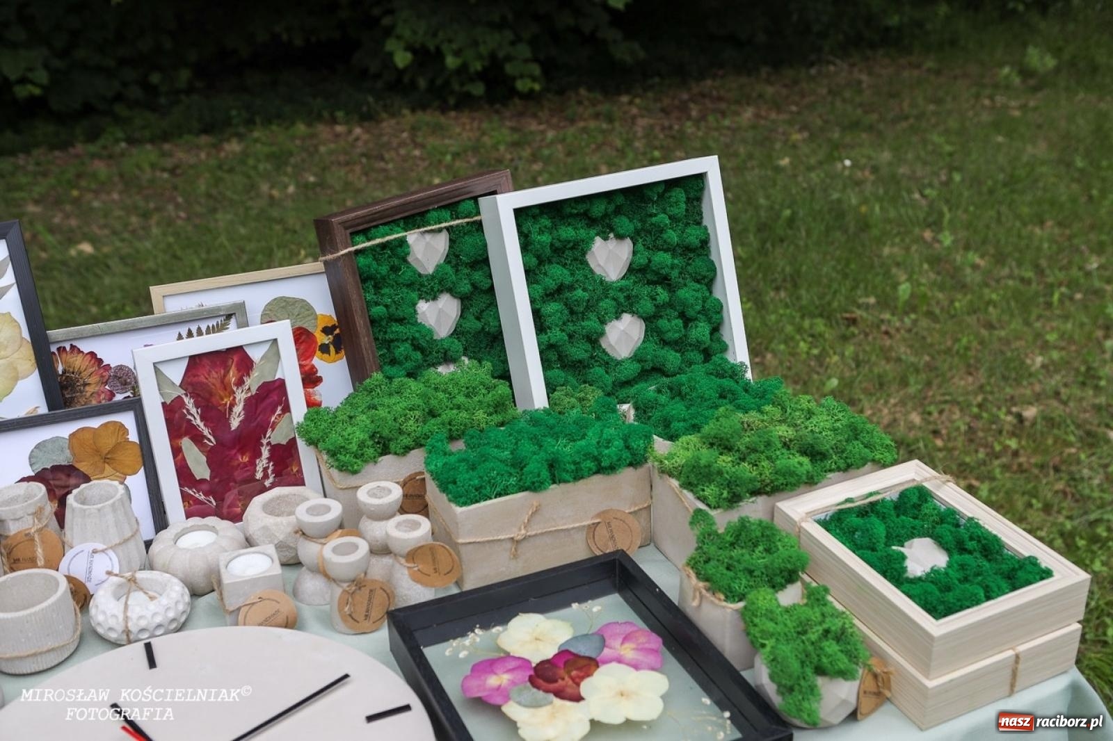 Zdjęcie w galerii na portalu naszraciborz.pl: Żywy Racibórz – międzypokoleniowa przestrzeń spotkań i inspiracji wiadomości z regionu