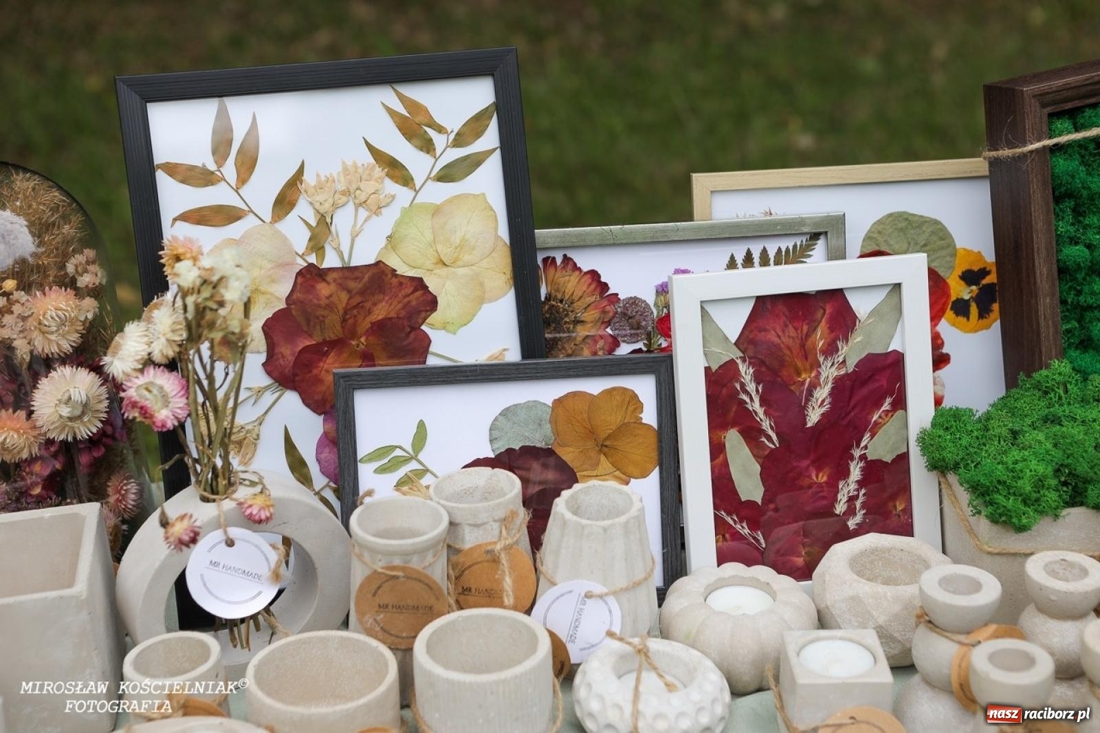 Zdjęcie w galerii na portalu naszraciborz.pl: Żywy Racibórz – międzypokoleniowa przestrzeń spotkań i inspiracji wiadomości z regionu