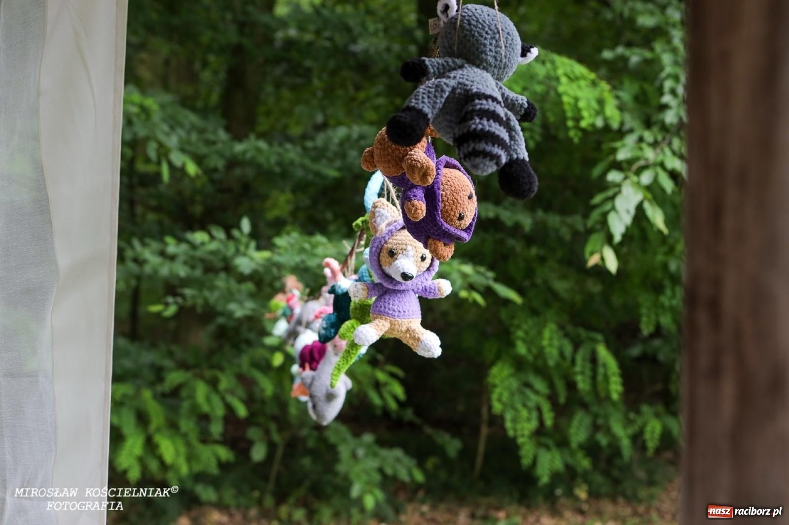 Zdjęcie w galerii na portalu naszraciborz.pl: Żywy Racibórz – międzypokoleniowa przestrzeń spotkań i inspiracji wiadomości z regionu