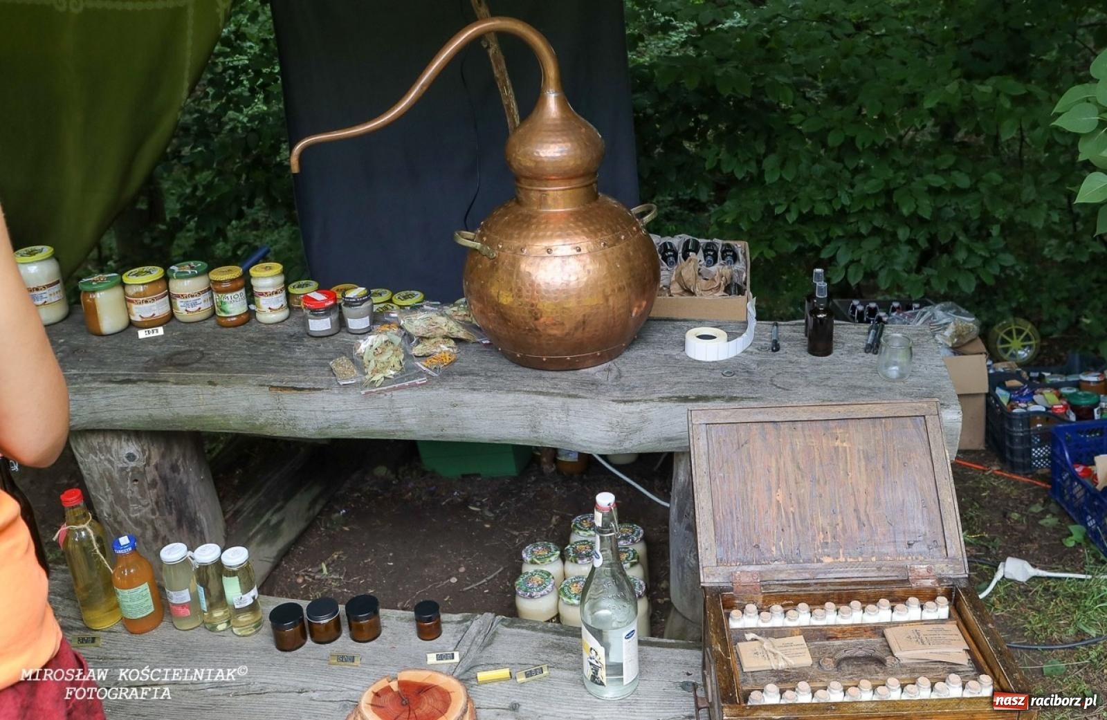 Zdjęcie w galerii na portalu naszraciborz.pl: Żywy Racibórz – międzypokoleniowa przestrzeń spotkań i inspiracji wiadomości z regionu