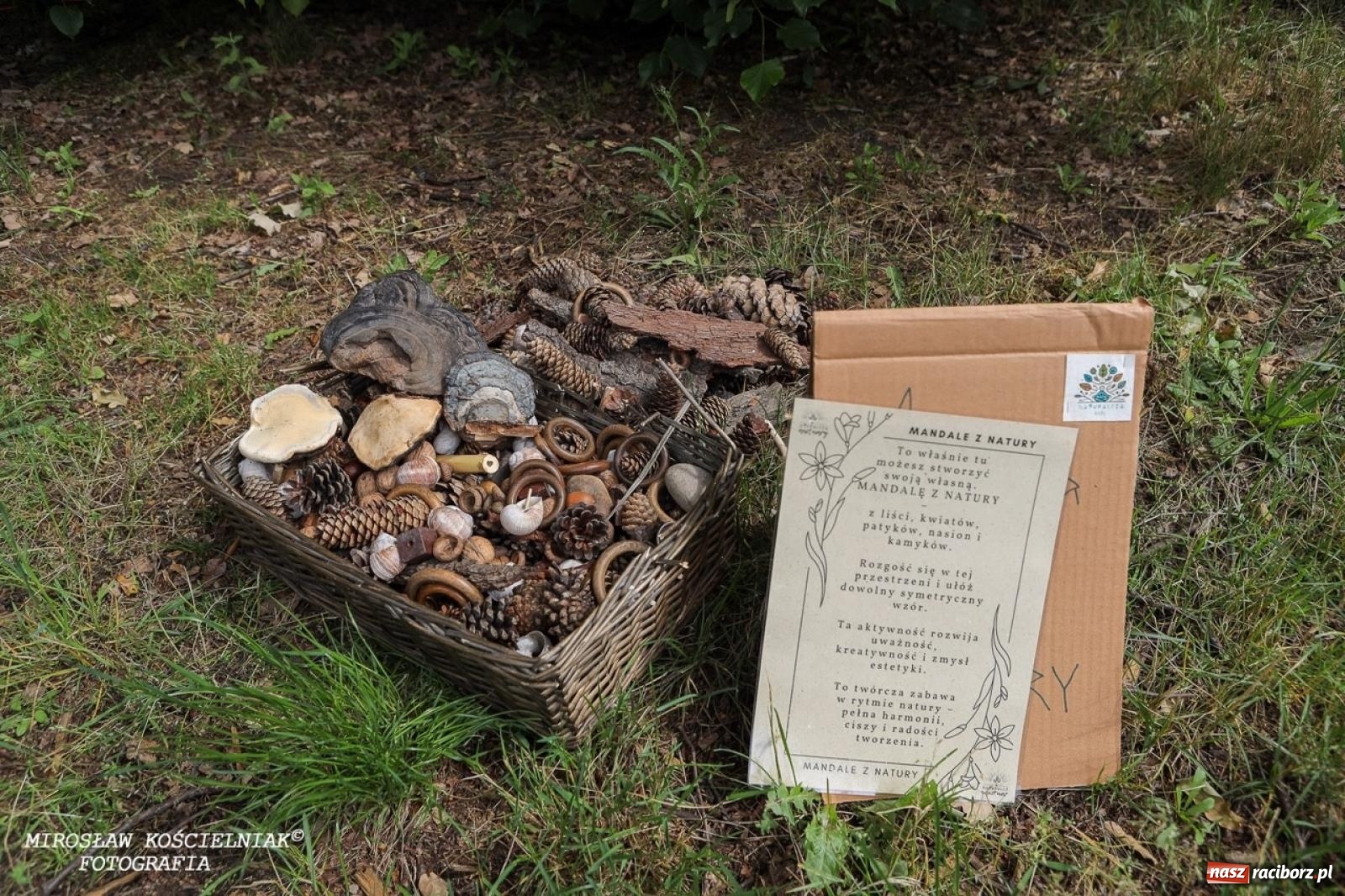 Zdjęcie w galerii na portalu naszraciborz.pl: Żywy Racibórz – międzypokoleniowa przestrzeń spotkań i inspiracji wiadomości z regionu