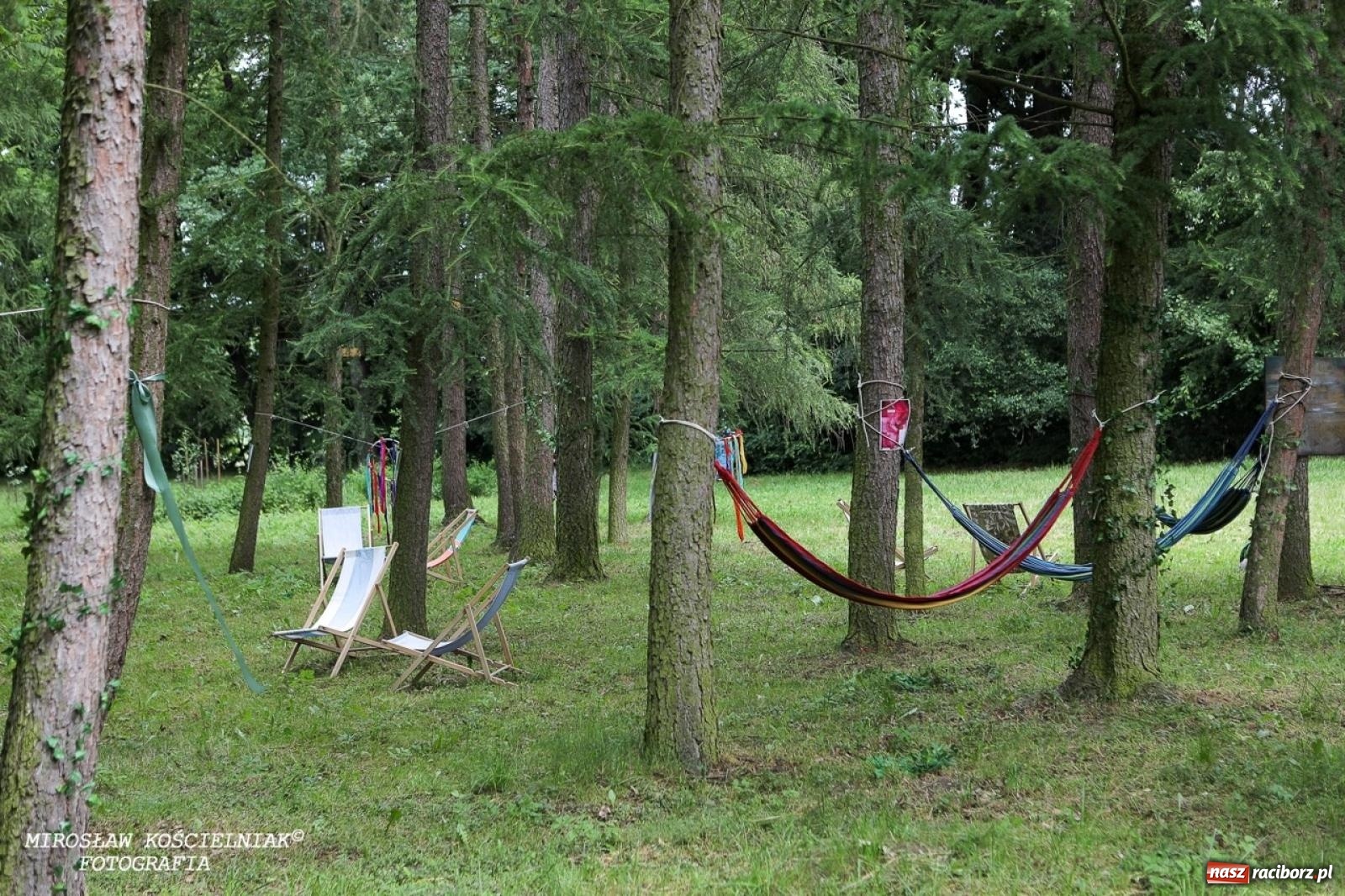 Zdjęcie w galerii na portalu naszraciborz.pl: Żywy Racibórz – międzypokoleniowa przestrzeń spotkań i inspiracji wiadomości z regionu