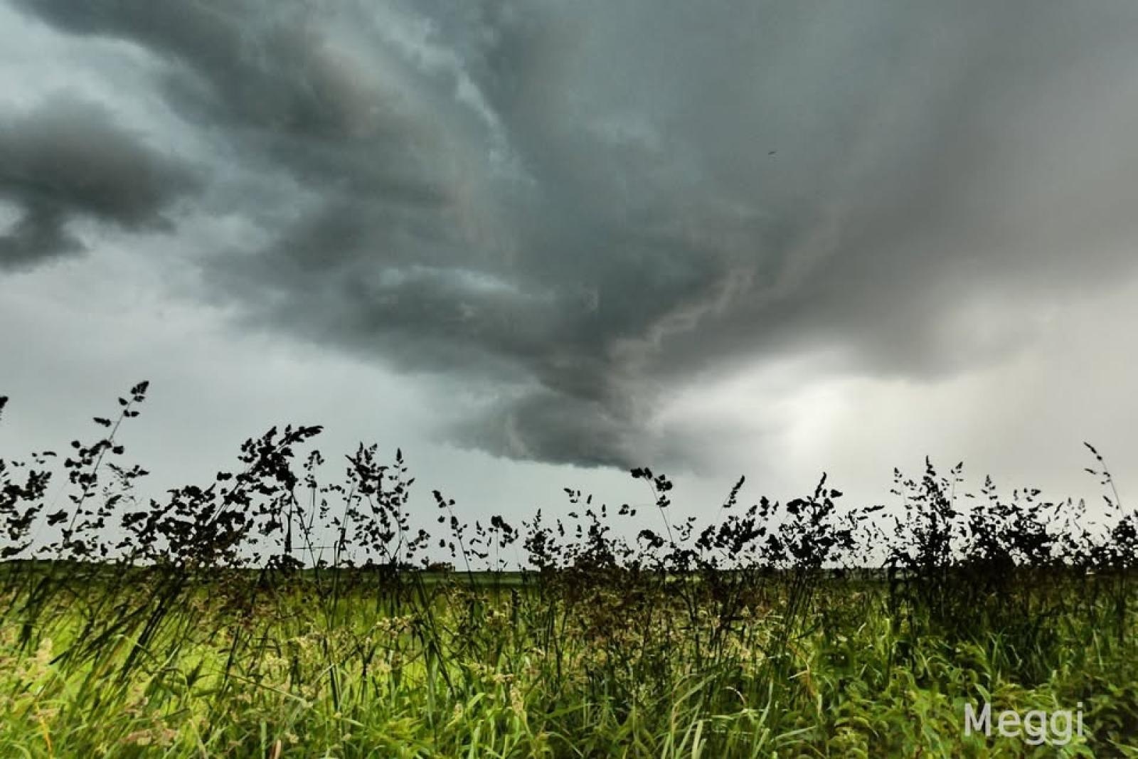 Zdjęcie w galerii na portalu naszraciborz.pl: Gwałtowna burza nad powiatem raciborskim. Ponad 60 interwencji straży pożarnej wiadomości z regionu