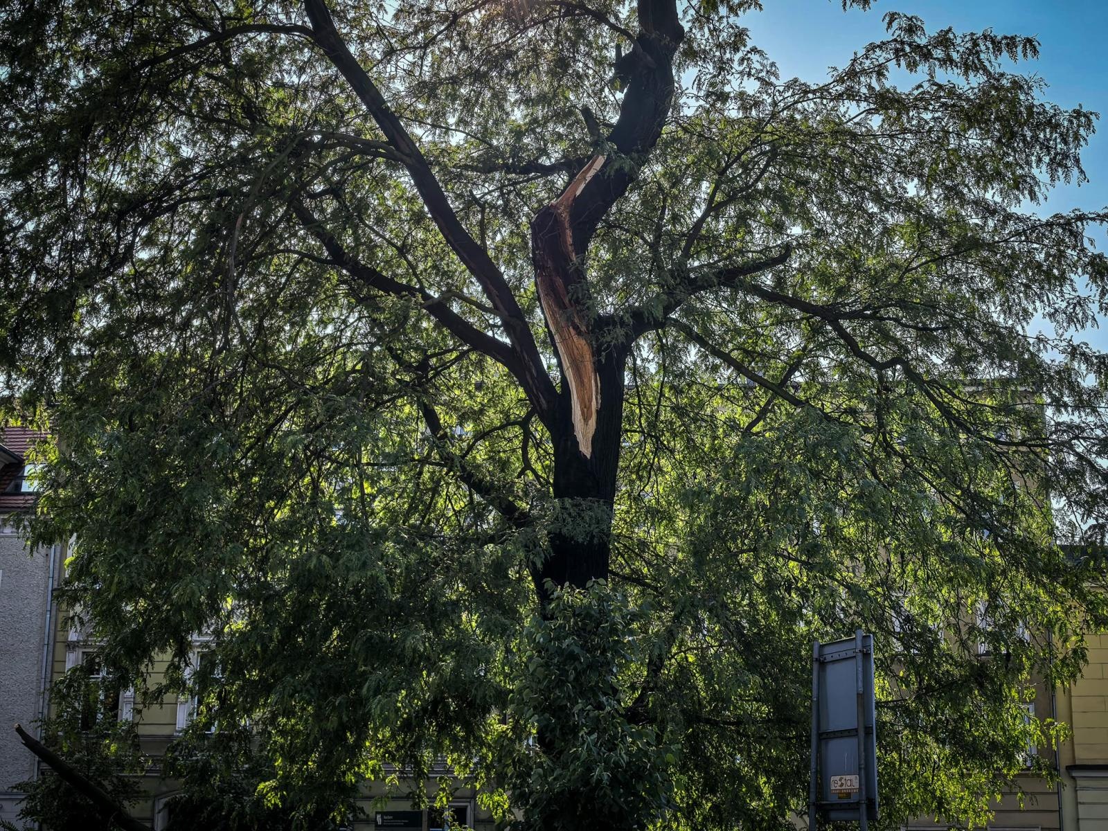 Zdjęcie w galerii na portalu naszraciborz.pl: Kolejna nawałnica nad Raciborzem: zalane ulice, powalone drzewa i uszkodzenia infrastruktury wiadomości z regionu