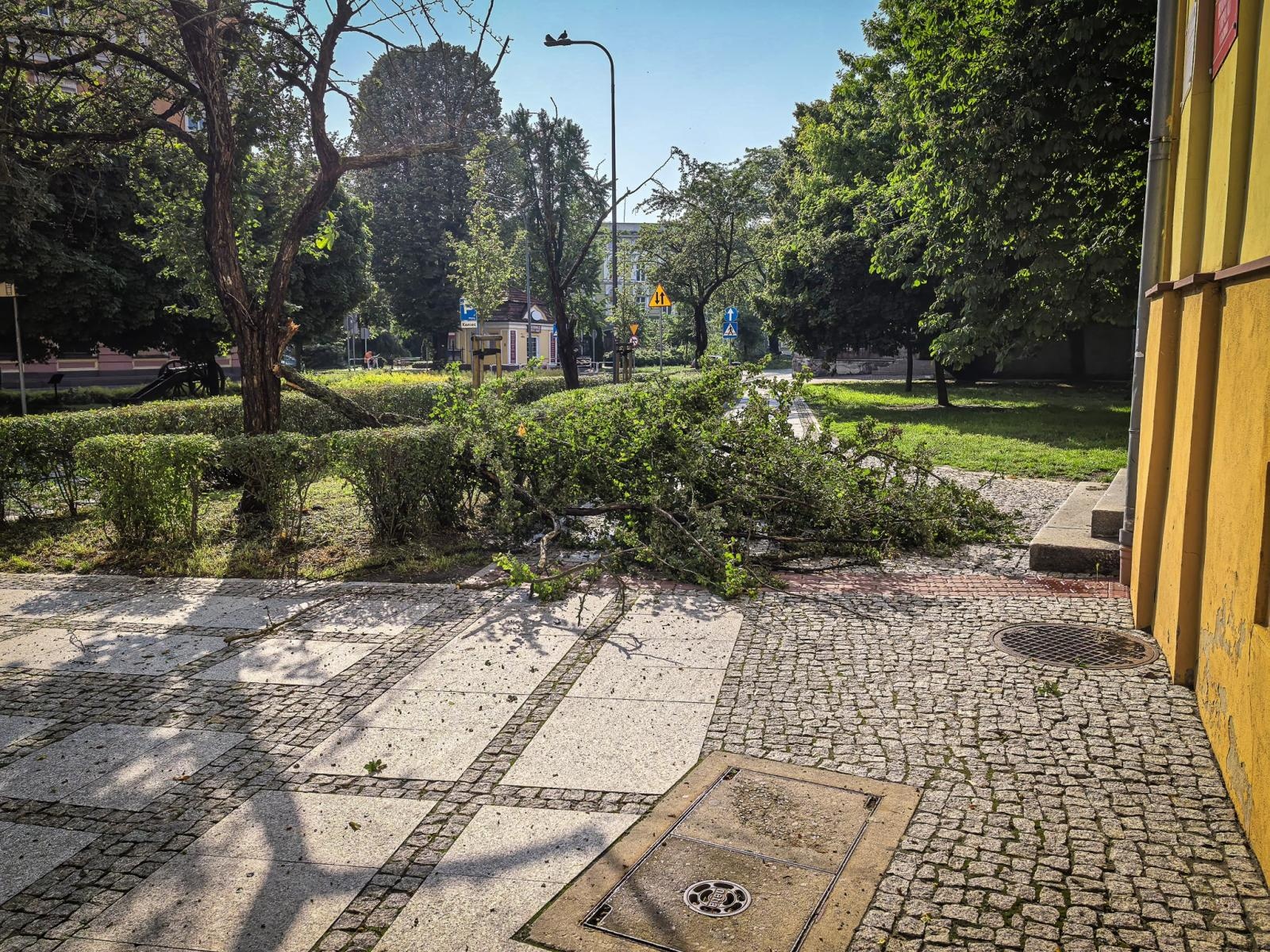 Zdjęcie w galerii na portalu naszraciborz.pl: Kolejna nawałnica nad Raciborzem: zalane ulice, powalone drzewa i uszkodzenia infrastruktury wiadomości z regionu