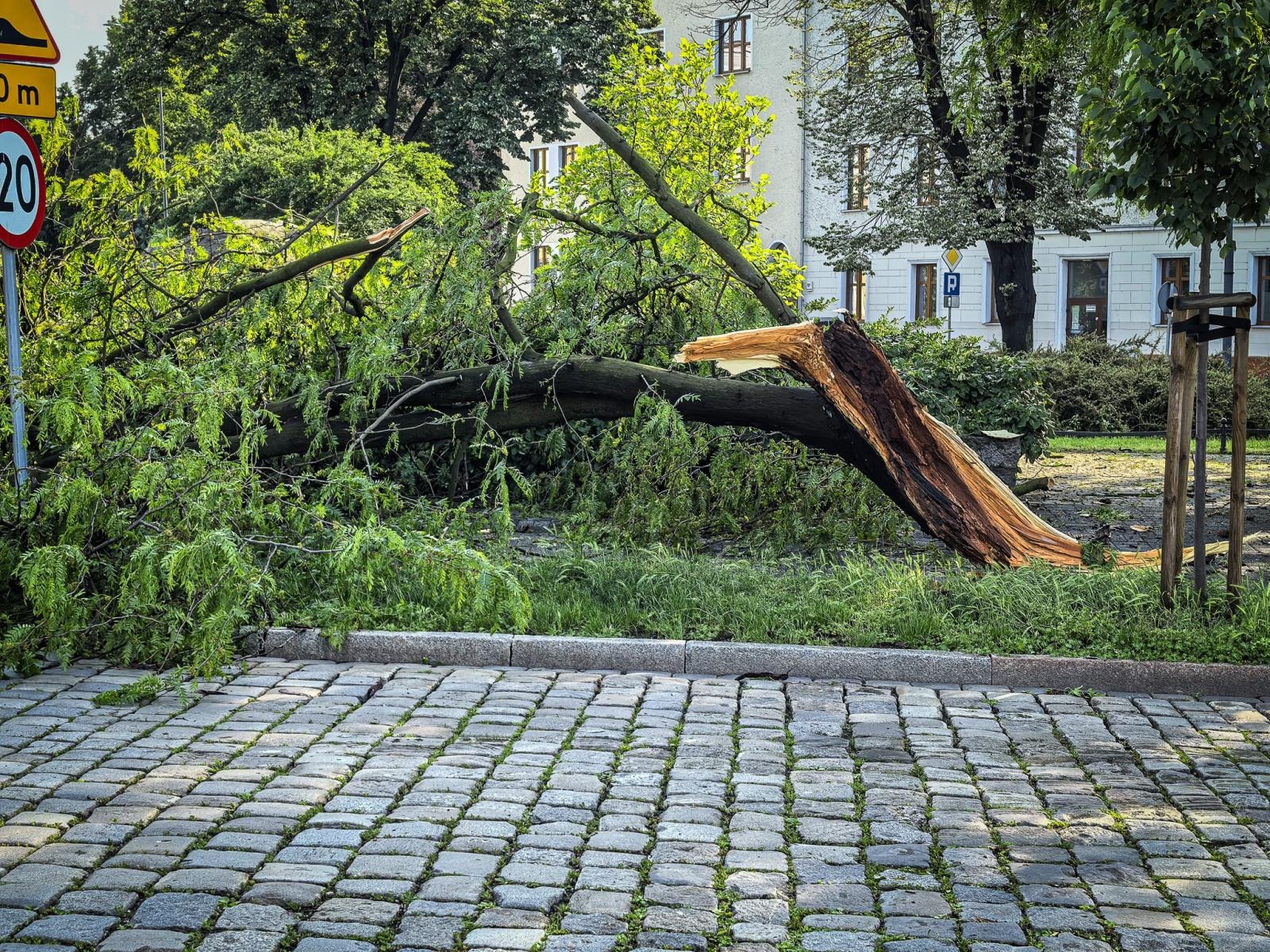 Zdjęcie w galerii na portalu naszraciborz.pl: Kolejna nawałnica nad Raciborzem: zalane ulice, powalone drzewa i uszkodzenia infrastruktury wiadomości z regionu