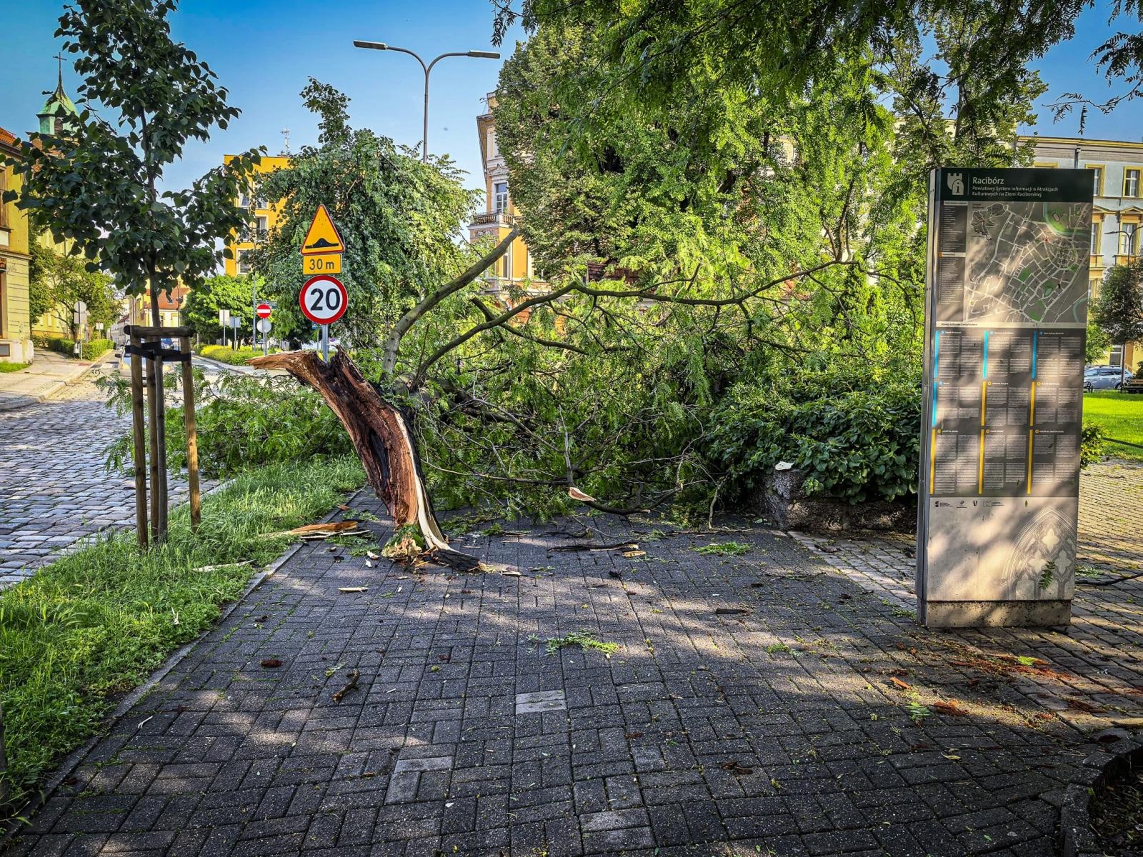 Zdjęcie w galerii na portalu naszraciborz.pl: Kolejna nawałnica nad Raciborzem: zalane ulice, powalone drzewa i uszkodzenia infrastruktury wiadomości z regionu