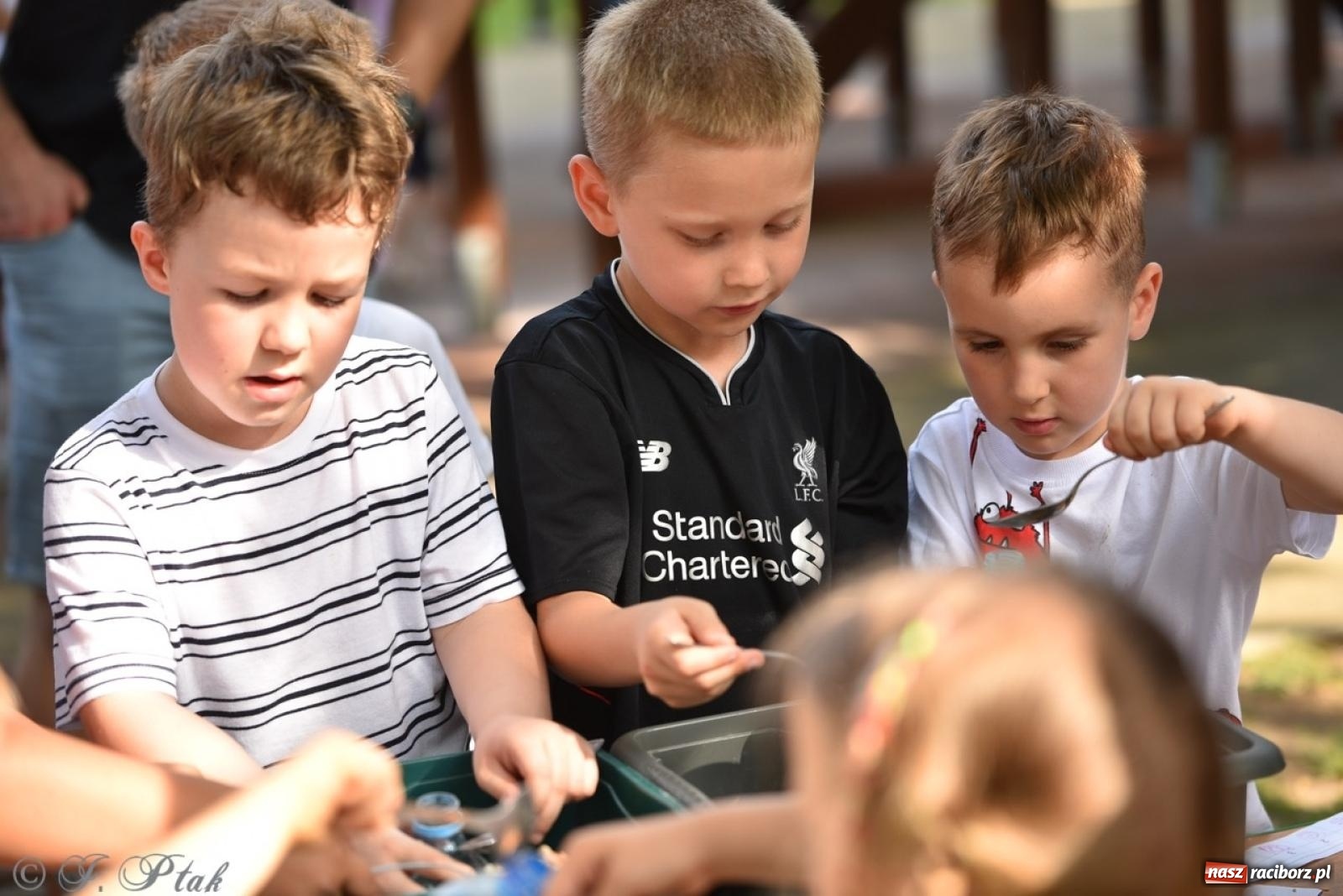 Zdjęcie w galerii na portalu naszraciborz.pl: Radość, śmiech i wspólna zabawa – rodzinny festyn w Przedszkolu nr 26 [FOTO i WIDEO] wiadomości z regionu