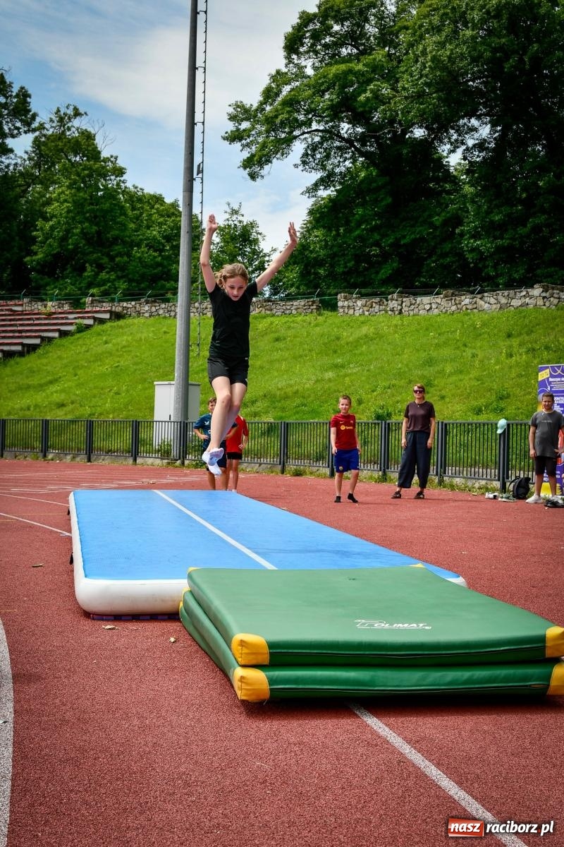 Zdjęcie w galerii na portalu naszraciborz.pl: Dni Raciborza rozpoczęte sportowym akcentem wiadomości z regionu