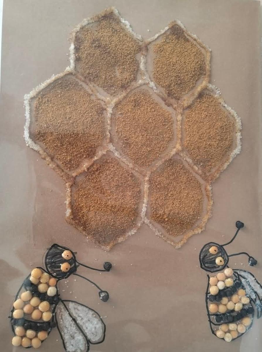 Zdjęcie w galerii na portalu naszraciborz.pl: Małe talenty z wielkimi osiągnięciami wiadomości z regionu