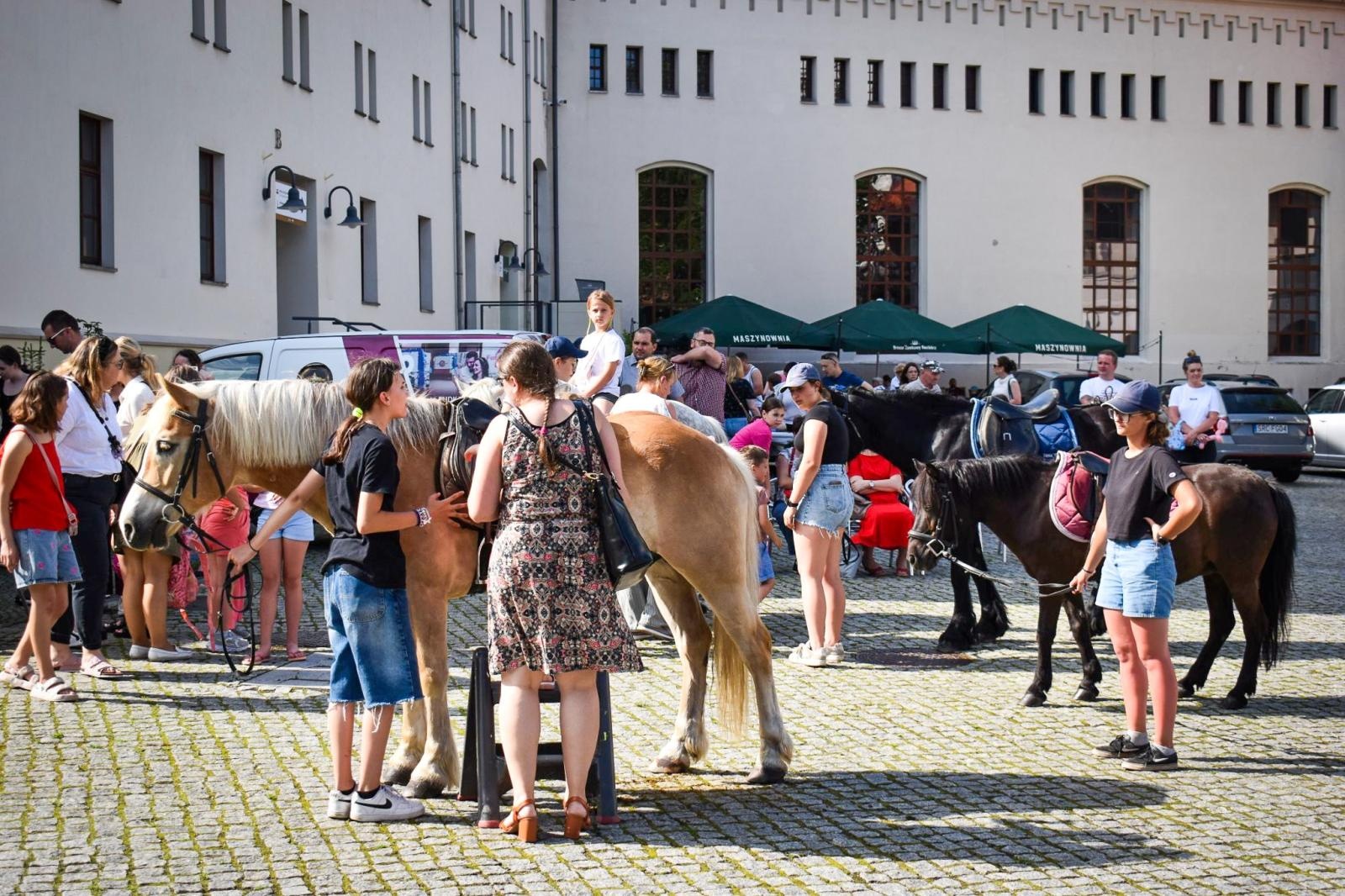 Zdjęcie w galerii na portalu naszraciborz.pl: Rodzinne świętowanie z MDK na dziedzińcu Zamku Piastowskiego w Raciborzu wiadomości z regionu