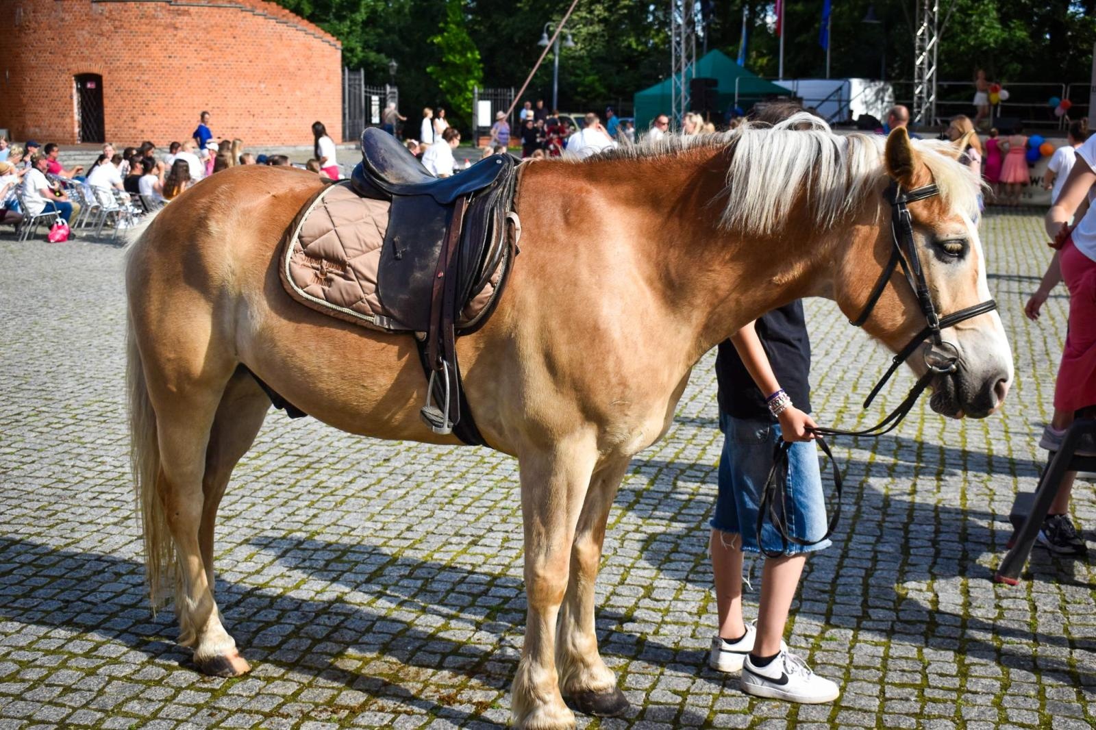Zdjęcie w galerii na portalu naszraciborz.pl: Rodzinne świętowanie z MDK na dziedzińcu Zamku Piastowskiego w Raciborzu wiadomości z regionu