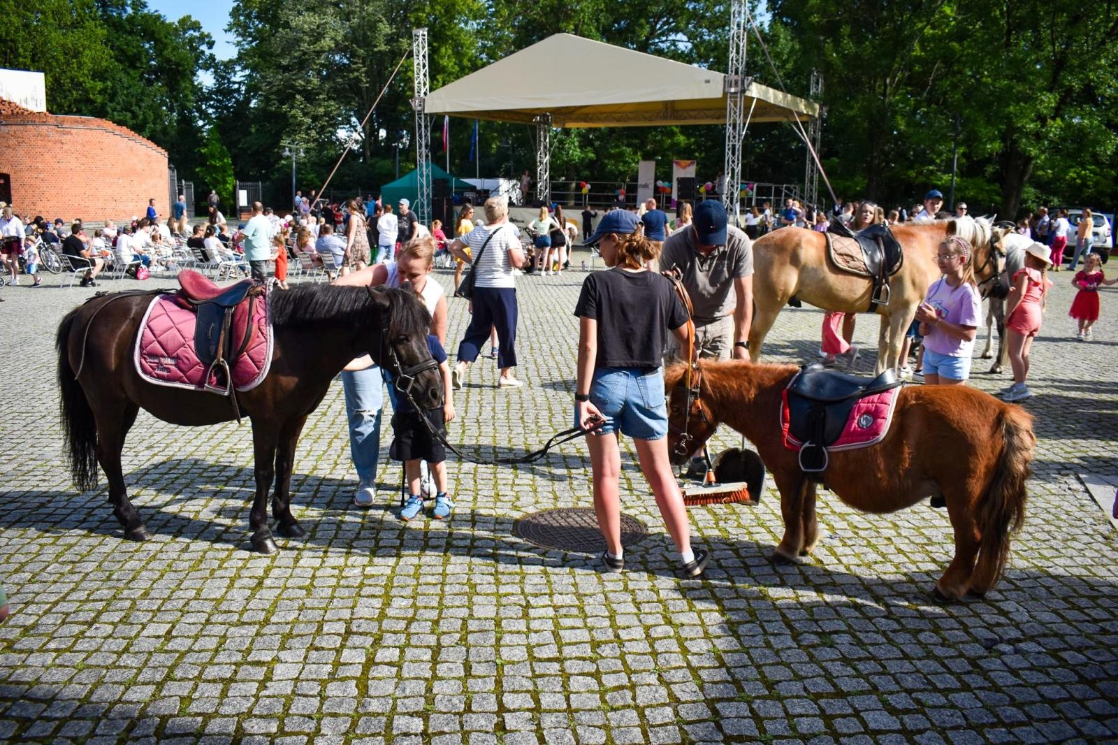 Zdjęcie w galerii na portalu naszraciborz.pl: Rodzinne świętowanie z MDK na dziedzińcu Zamku Piastowskiego w Raciborzu wiadomości z regionu