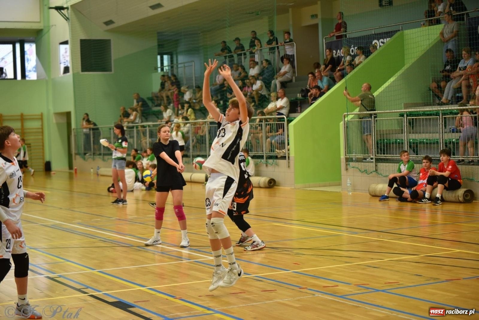 Zdjęcie w galerii na portalu naszraciborz.pl: 12. edycja turnieju Gramy dla Mamy odbyła się w Raciborzu wiadomości z regionu