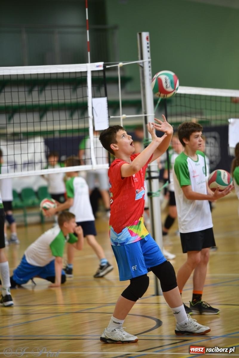 Zdjęcie w galerii na portalu naszraciborz.pl: 12. edycja turnieju Gramy dla Mamy odbyła się w Raciborzu wiadomości z regionu