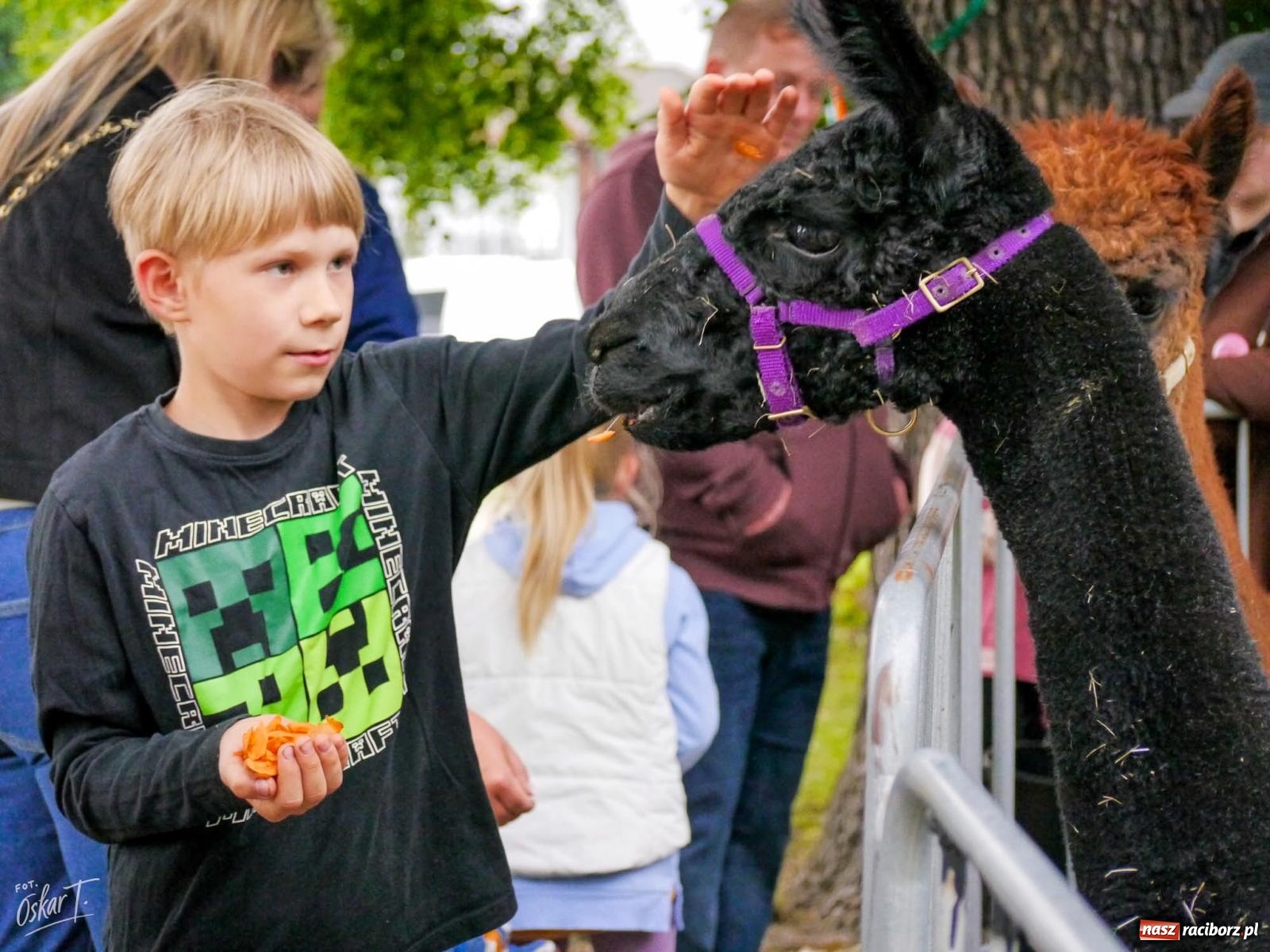 Zdjęcie w galerii na portalu naszraciborz.pl: Rodzinny Piknik z okazji Dnia Dziecka w Nędzy pełen radości i atrakcji  wiadomości z regionu