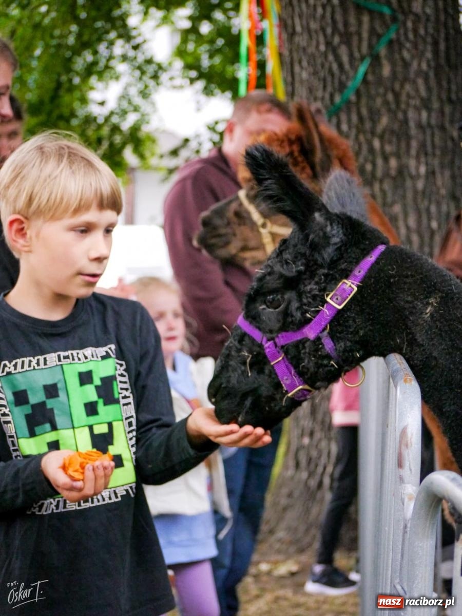 Zdjęcie w galerii na portalu naszraciborz.pl: Rodzinny Piknik z okazji Dnia Dziecka w Nędzy pełen radości i atrakcji  wiadomości z regionu