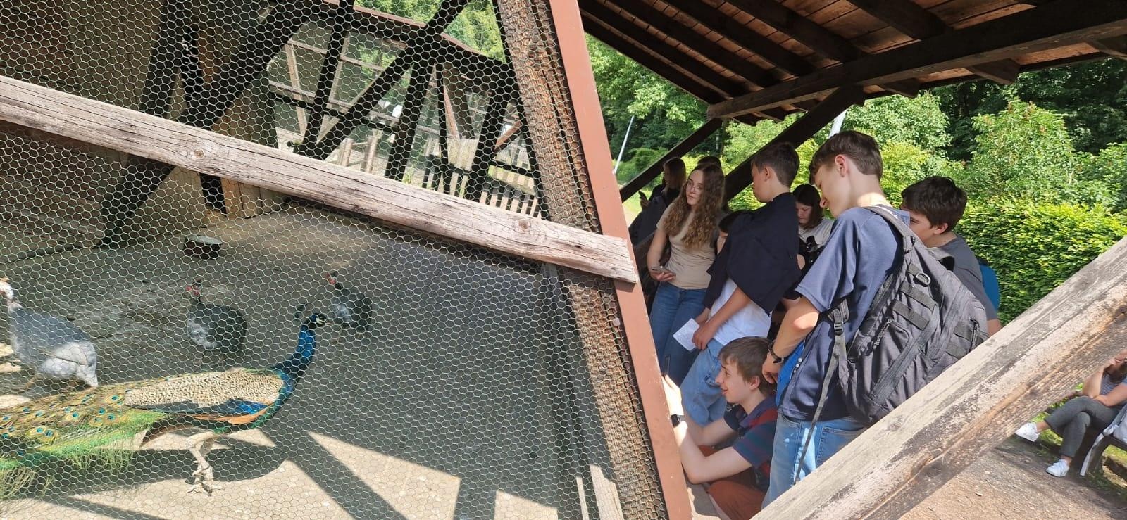 Zdjęcie w galerii na portalu naszraciborz.pl: Języki jednoczą świat – uczniowie z Niemiec po raz kolejny odwiedzili Racibórz w ramach wymiany szkolnej wiadomości z regionu