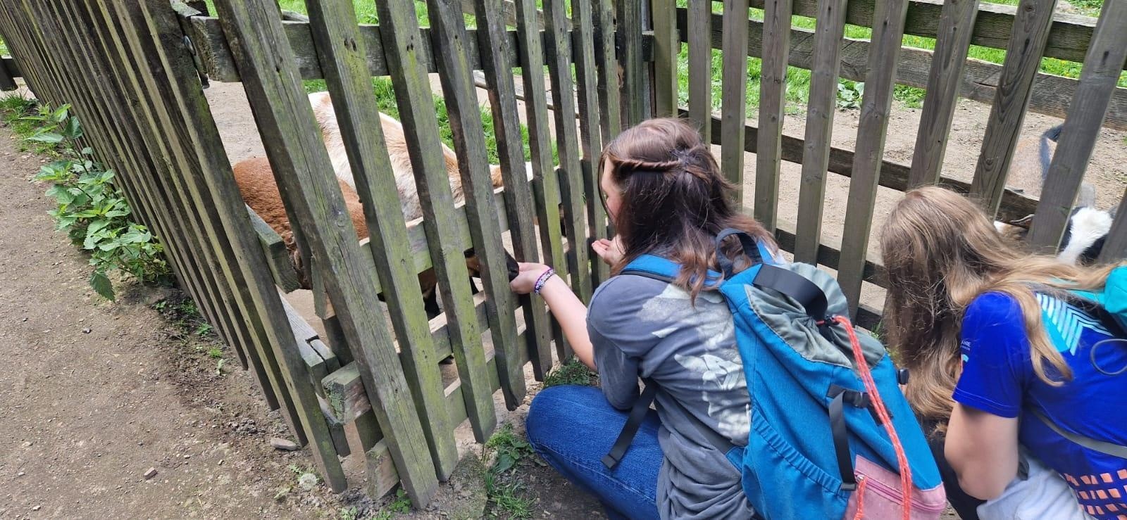 Zdjęcie w galerii na portalu naszraciborz.pl: Języki jednoczą świat – uczniowie z Niemiec po raz kolejny odwiedzili Racibórz w ramach wymiany szkolnej wiadomości z regionu