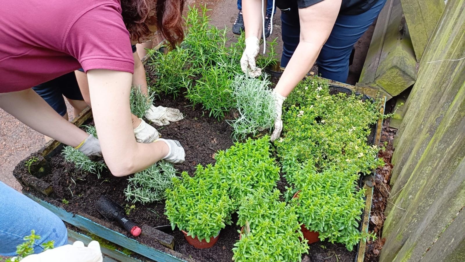 Zdjęcie w galerii na portalu naszraciborz.pl: Warsztaty zorganizowane w ramach Europejskiego Green Week 2025 w Raciborzu już za nami wiadomości z regionu