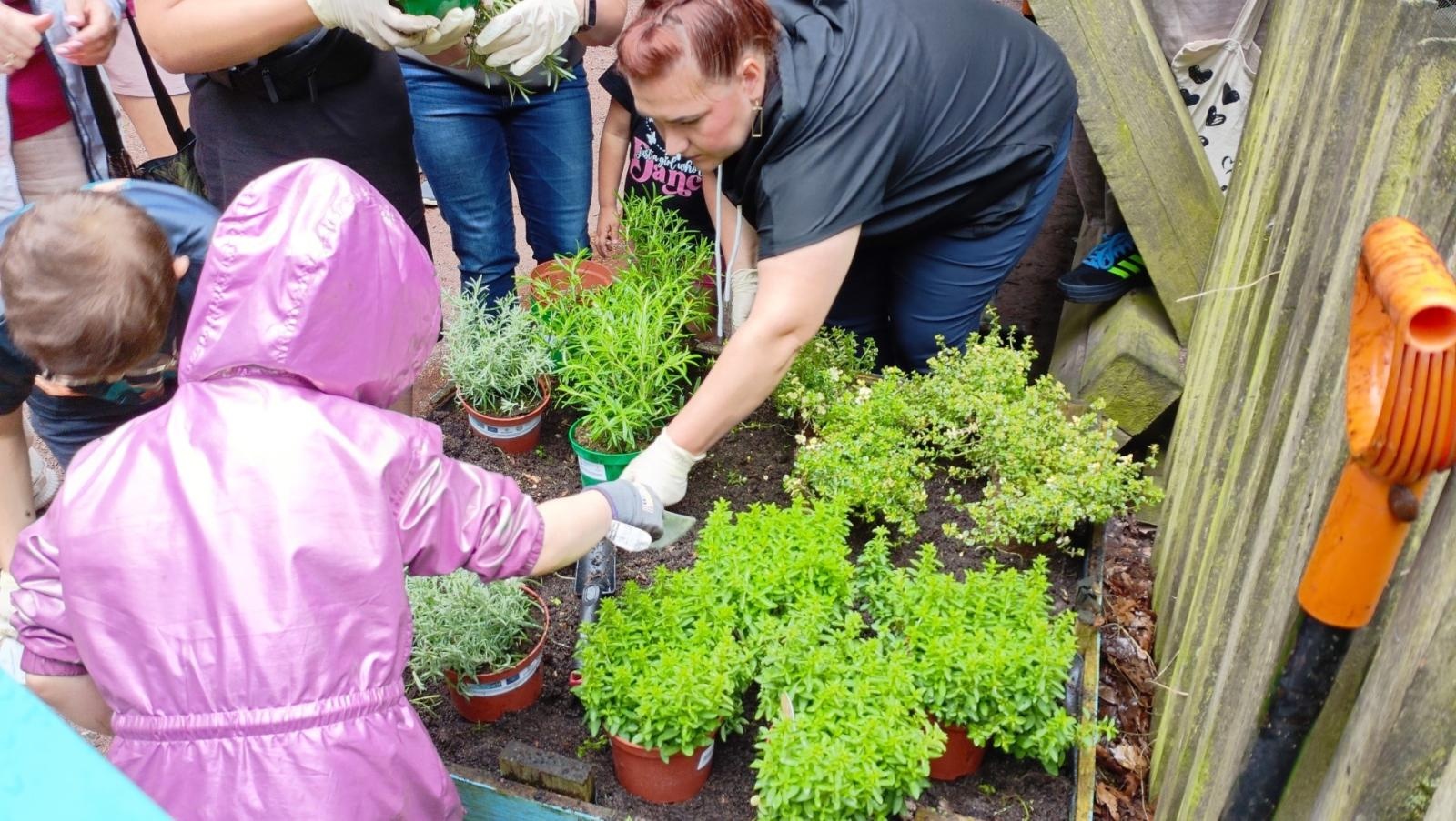 Zdjęcie w galerii na portalu naszraciborz.pl: Warsztaty zorganizowane w ramach Europejskiego Green Week 2025 w Raciborzu już za nami wiadomości z regionu