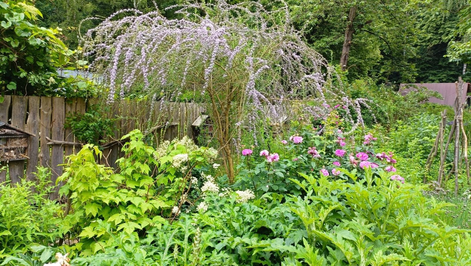 Zdjęcie w galerii na portalu naszraciborz.pl: Warsztaty zorganizowane w ramach Europejskiego Green Week 2025 w Raciborzu już za nami wiadomości z regionu