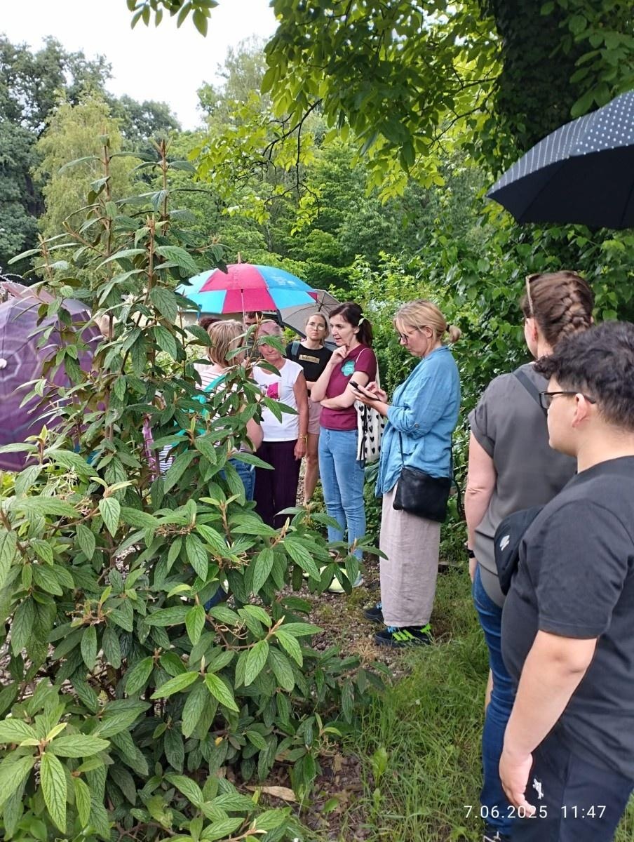 Zdjęcie w galerii na portalu naszraciborz.pl: Warsztaty zorganizowane w ramach Europejskiego Green Week 2025 w Raciborzu już za nami wiadomości z regionu
