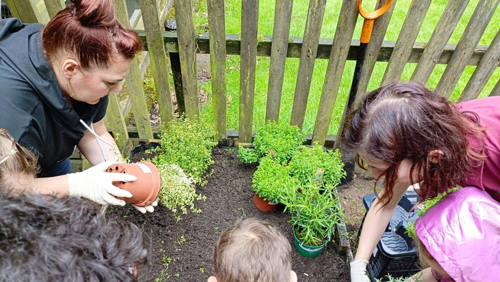 Zdjęcie w galerii na portalu naszraciborz.pl: Warsztaty zorganizowane w ramach Europejskiego Green Week 2025 w Raciborzu już za nami wiadomości z regionu