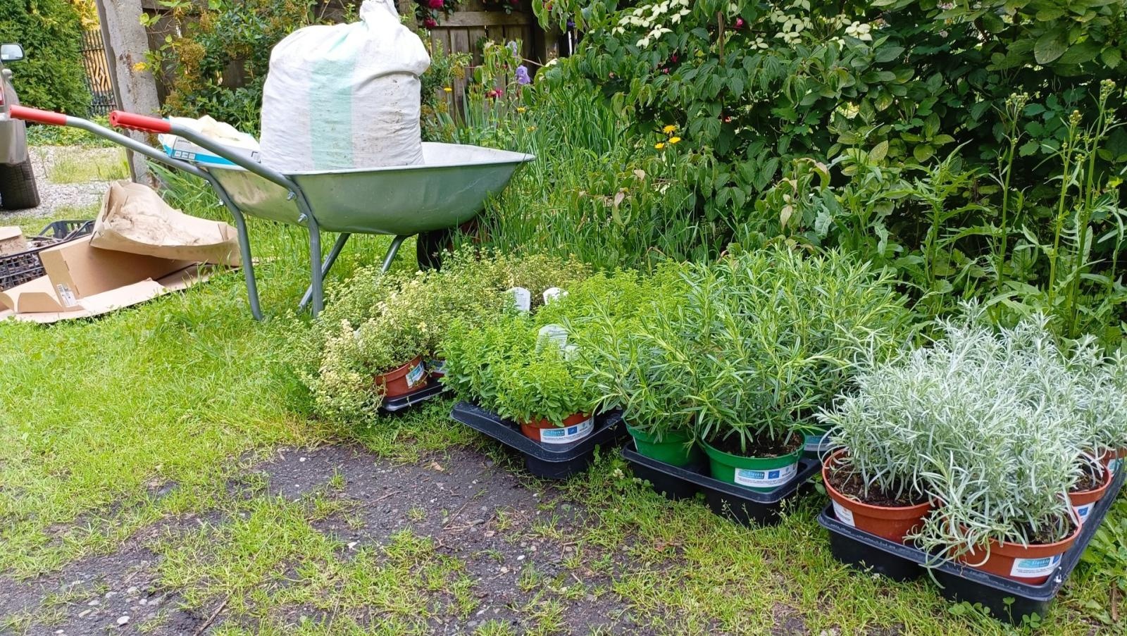 Zdjęcie w galerii na portalu naszraciborz.pl: Warsztaty zorganizowane w ramach Europejskiego Green Week 2025 w Raciborzu już za nami wiadomości z regionu