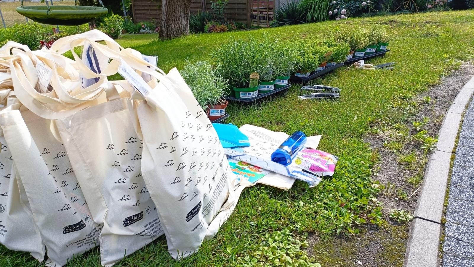 Zdjęcie w galerii na portalu naszraciborz.pl: Warsztaty zorganizowane w ramach Europejskiego Green Week 2025 w Raciborzu już za nami wiadomości z regionu