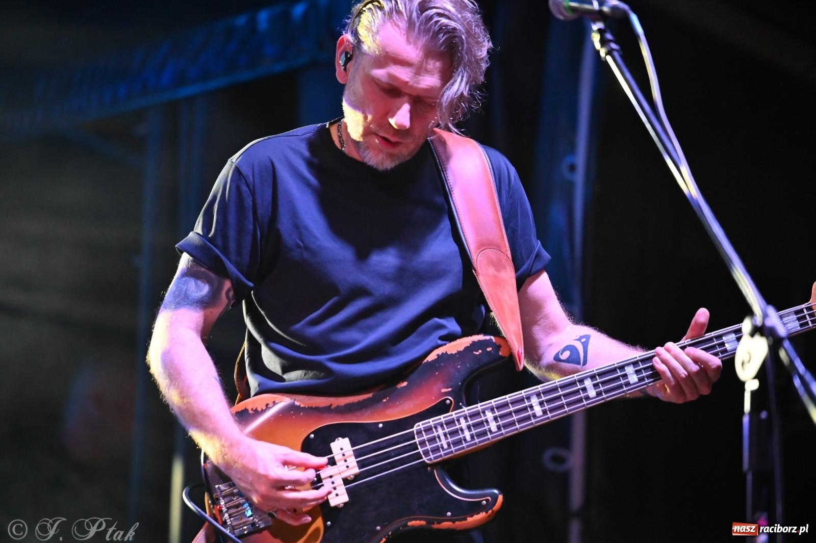 Zdjęcie w galerii na portalu naszraciborz.pl: Ørganek i Sarsa na finał Dni Raciborza - fotoreportaż wiadomości z regionu