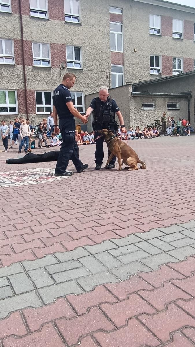 Zdjęcie w galerii na portalu naszraciborz.pl: Policyjne czworonogi w akcji – niezwykłe spotkanie w szkole w Rudach wiadomości z regionu