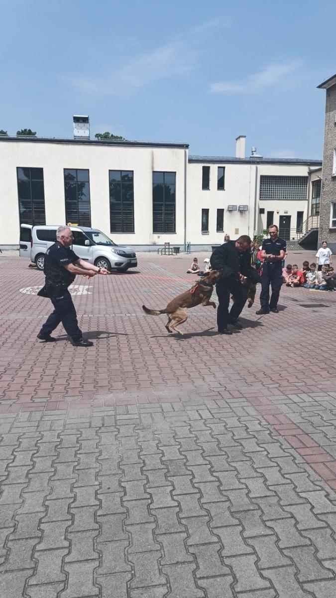 Zdjęcie w galerii na portalu naszraciborz.pl: Policyjne czworonogi w akcji – niezwykłe spotkanie w szkole w Rudach wiadomości z regionu