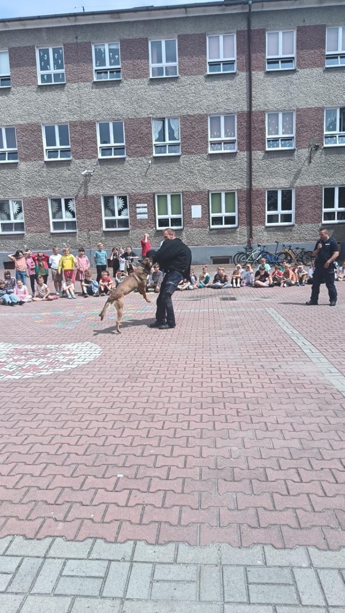 Zdjęcie w galerii na portalu naszraciborz.pl: Policyjne czworonogi w akcji – niezwykłe spotkanie w szkole w Rudach wiadomości z regionu