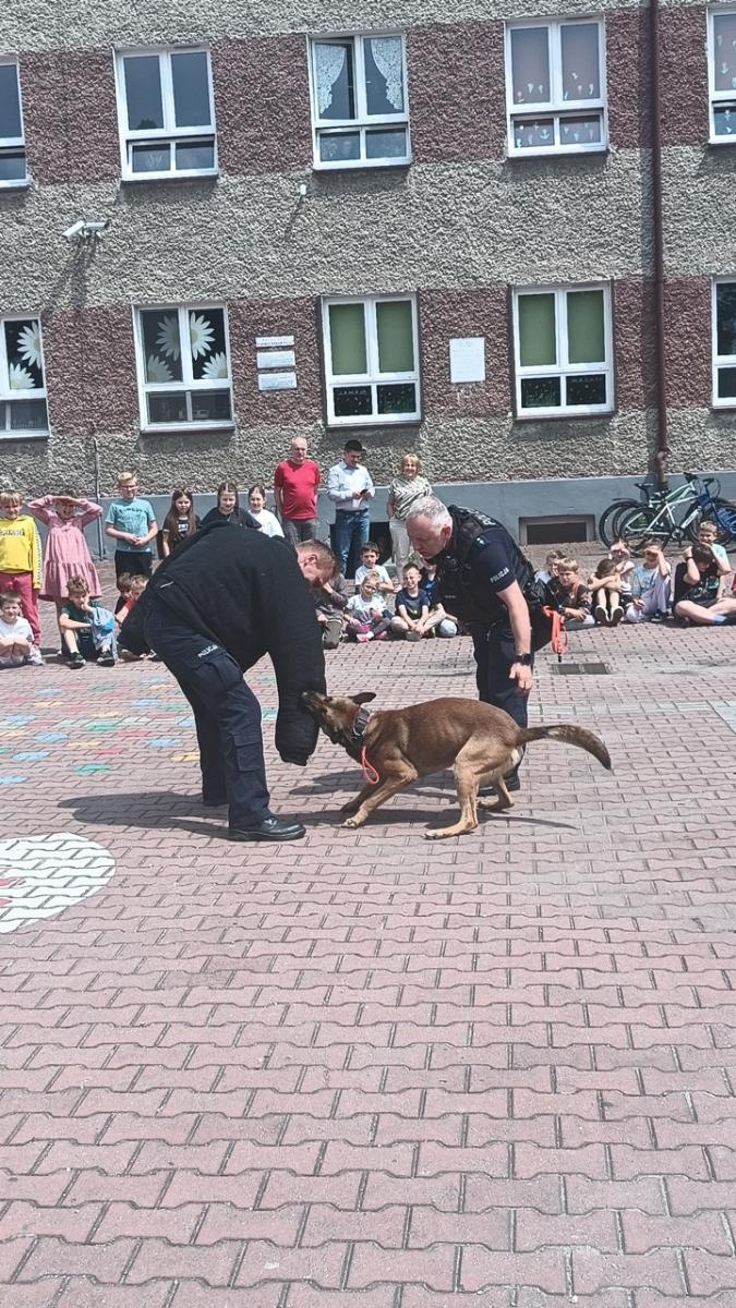 Zdjęcie w galerii na portalu naszraciborz.pl: Policyjne czworonogi w akcji – niezwykłe spotkanie w szkole w Rudach wiadomości z regionu