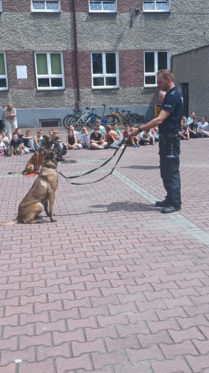 Zdjęcie w galerii na portalu naszraciborz.pl: Policyjne czworonogi w akcji – niezwykłe spotkanie w szkole w Rudach wiadomości z regionu
