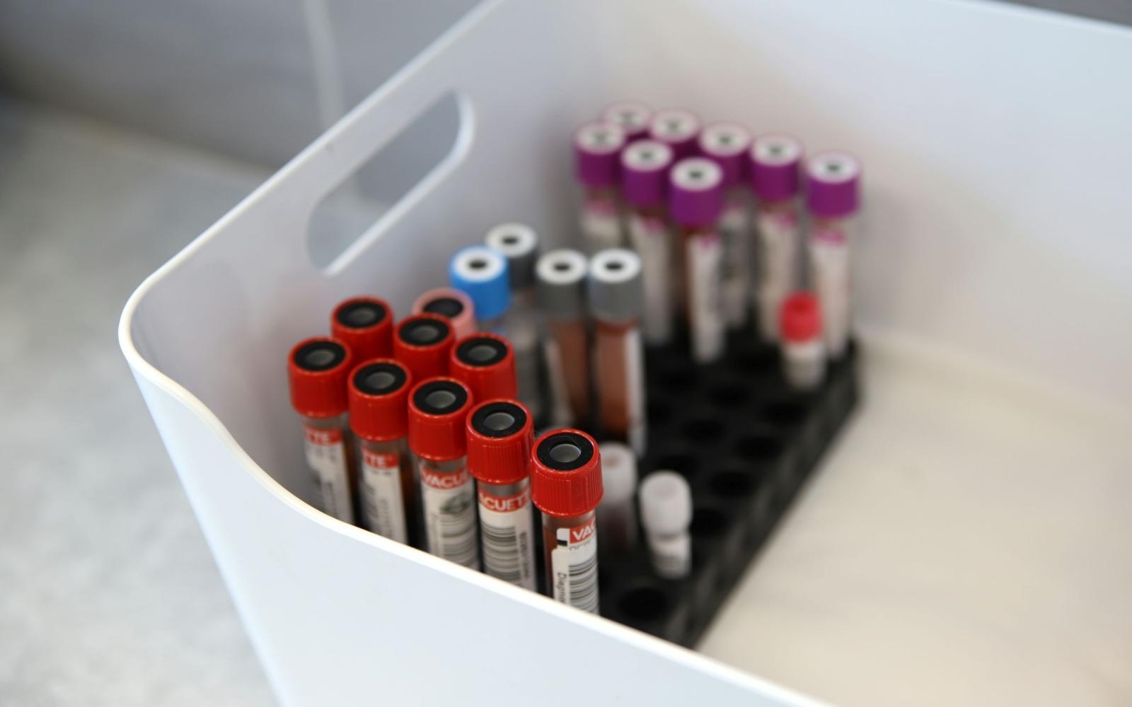 Zdjęcie w galerii na portalu naszraciborz.pl: Borelioza – akcja profilaktyczna w Raciborzu wiadomości z regionu