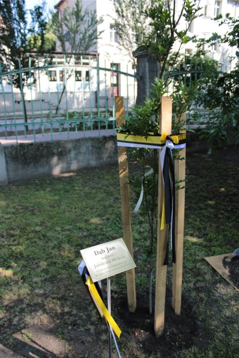 Zdjęcie w galerii na portalu naszraciborz.pl: Od korzeni do skrzydeł – 80 lat Kasprowicza wiadomości z regionu