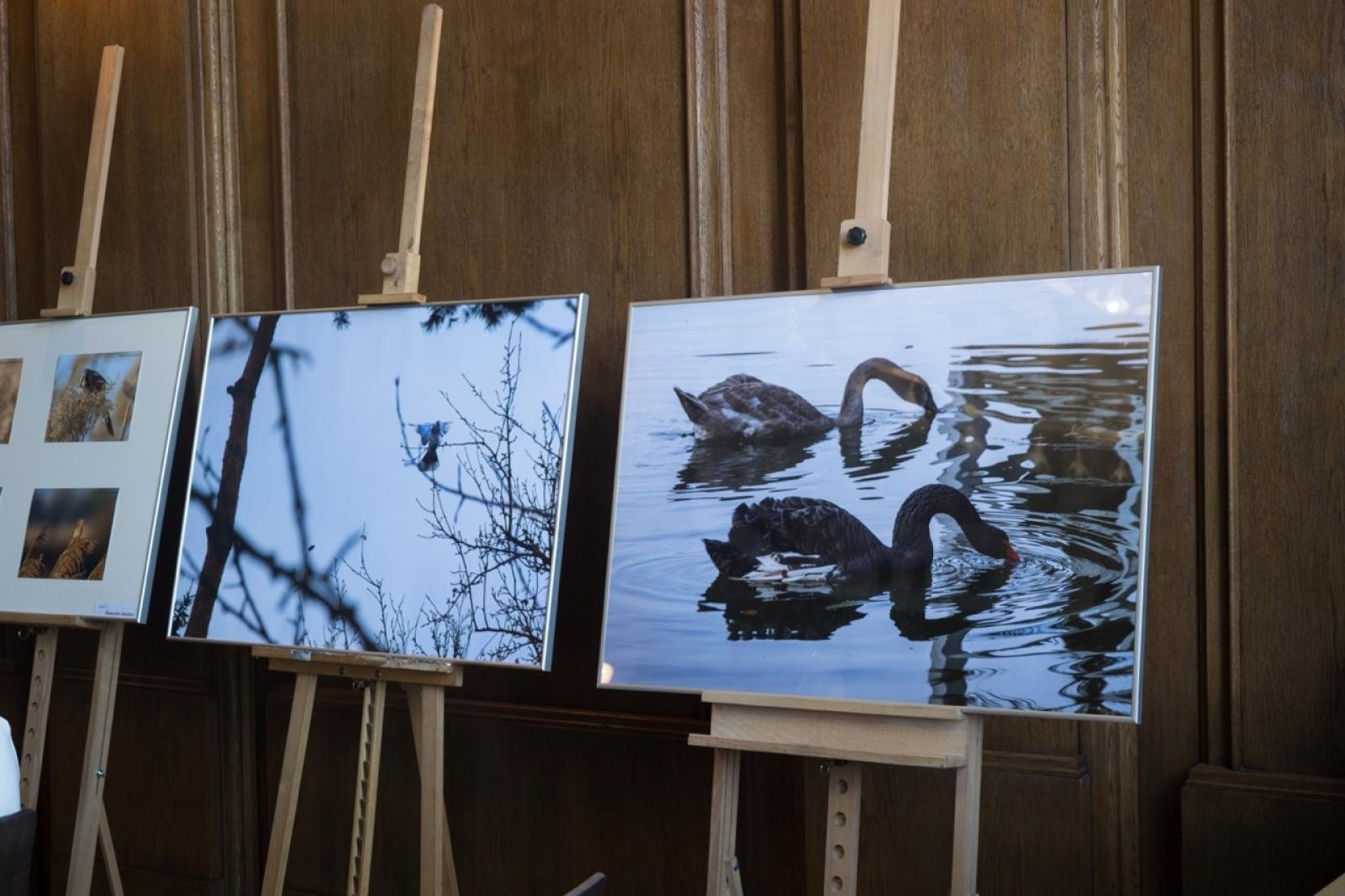 Zdjęcie w galerii na portalu naszraciborz.pl: Od korzeni do skrzydeł – 80 lat Kasprowicza wiadomości z regionu