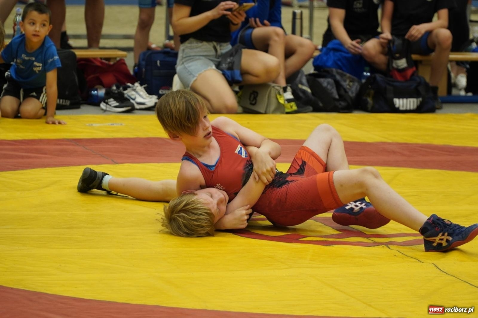 Zdjęcie w galerii na portalu naszraciborz.pl: W hołdzie trzem legendom raciborskich zapasów. Za nami memoriał Pieronkiewicza, Starzyńskiego i Delonga wiadomości z regionu