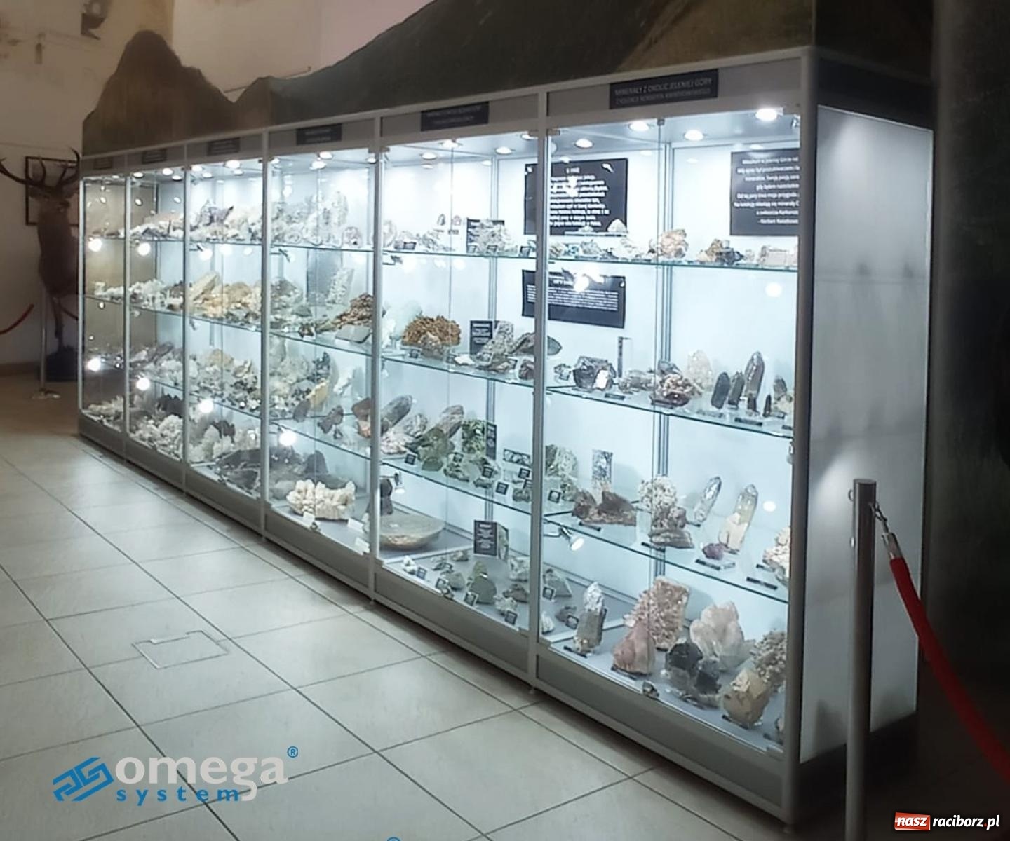 Zdjęcie w galerii na portalu naszraciborz.pl: W hołdzie trzem legendom raciborskich zapasów. Za nami memoriał Pieronkiewicza, Starzyńskiego i Delonga wiadomości z regionu